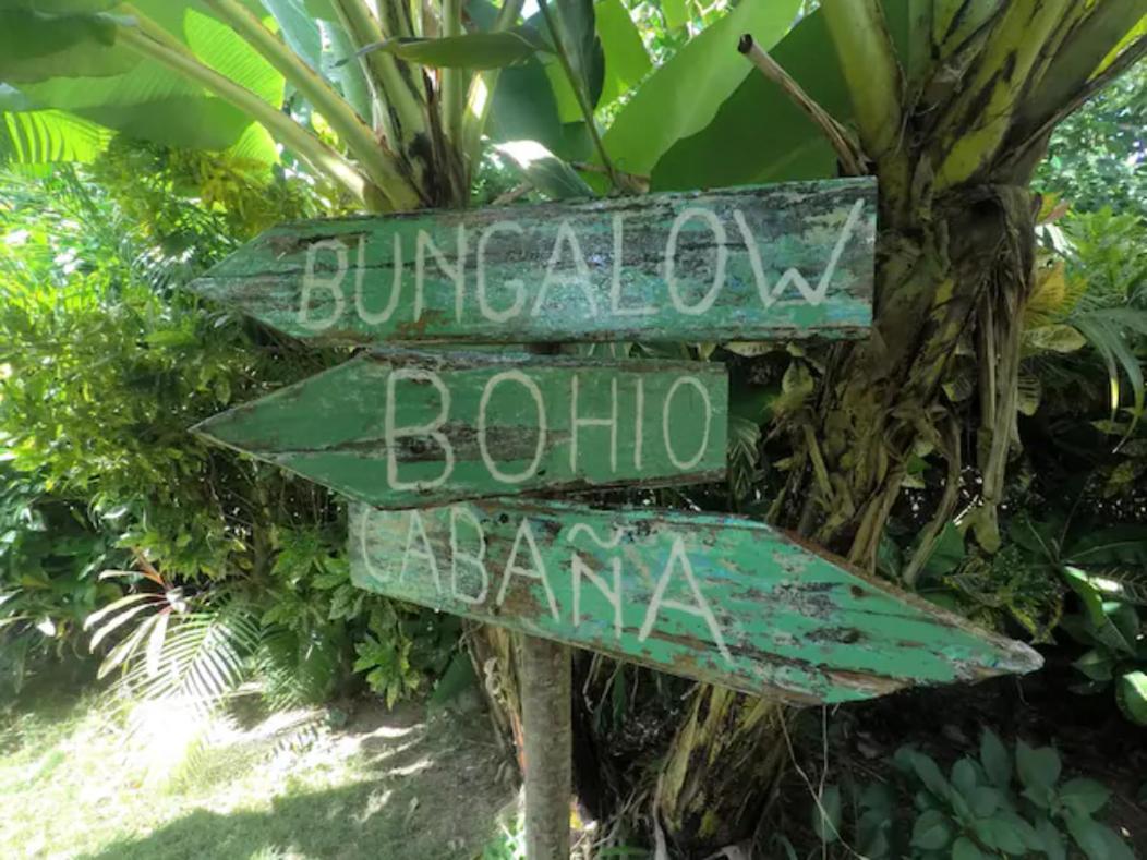Dream Glamping Jungle Bohio Hotel Las Terrenas Luaran gambar