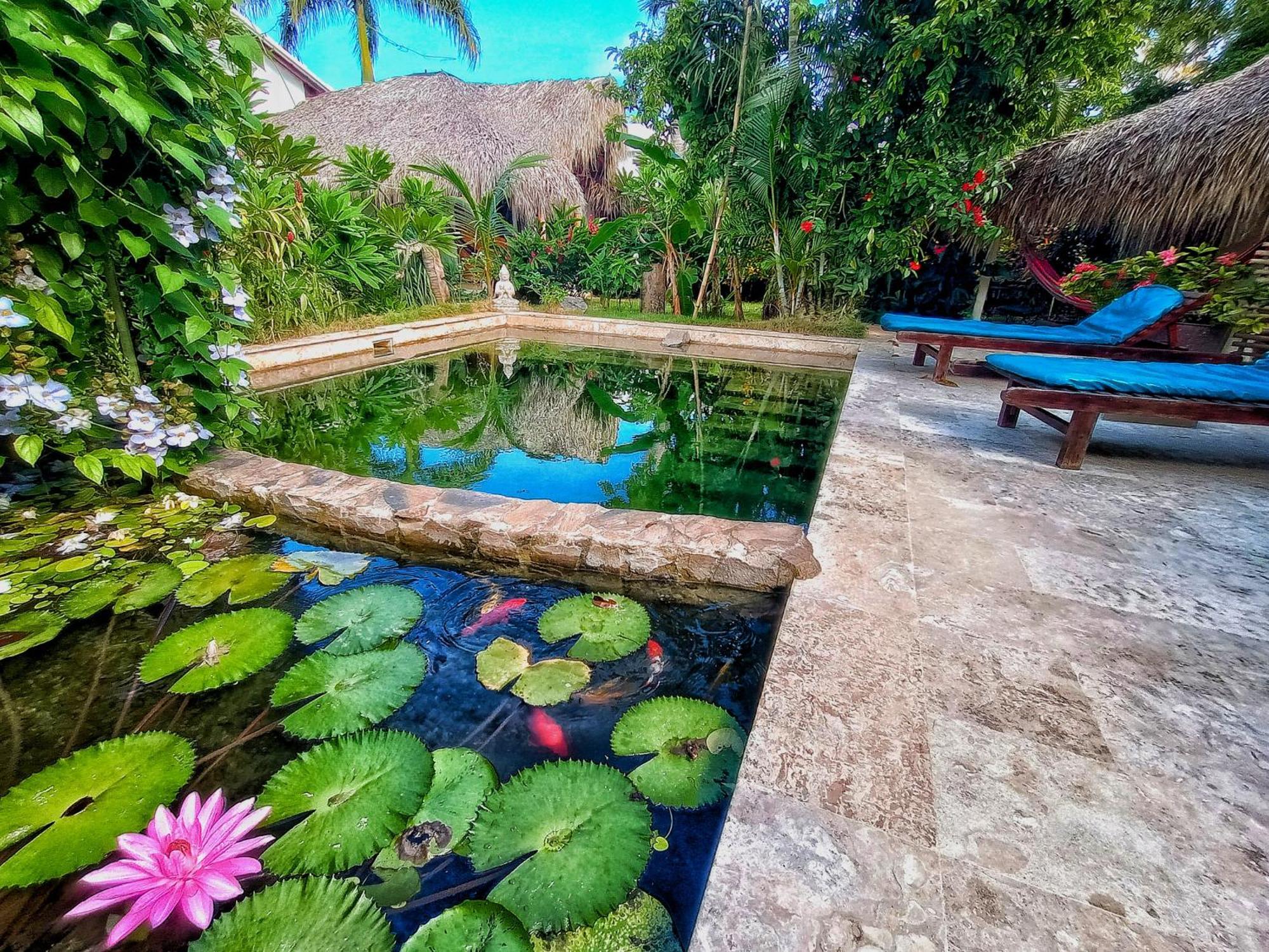 Dream Glamping Jungle Bohio Hotel Las Terrenas Luaran gambar
