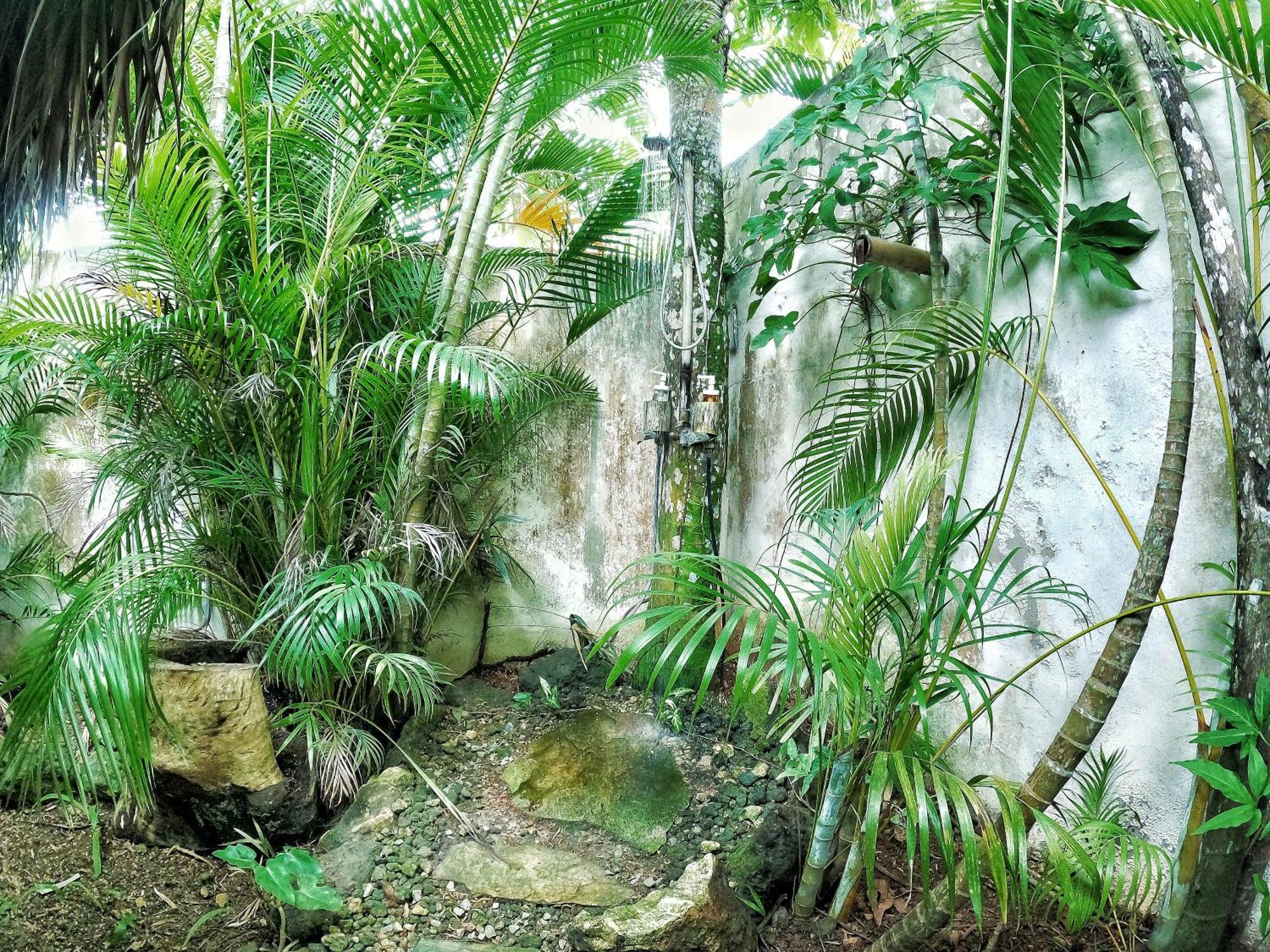 Dream Glamping Jungle Bohio Hotel Las Terrenas Luaran gambar