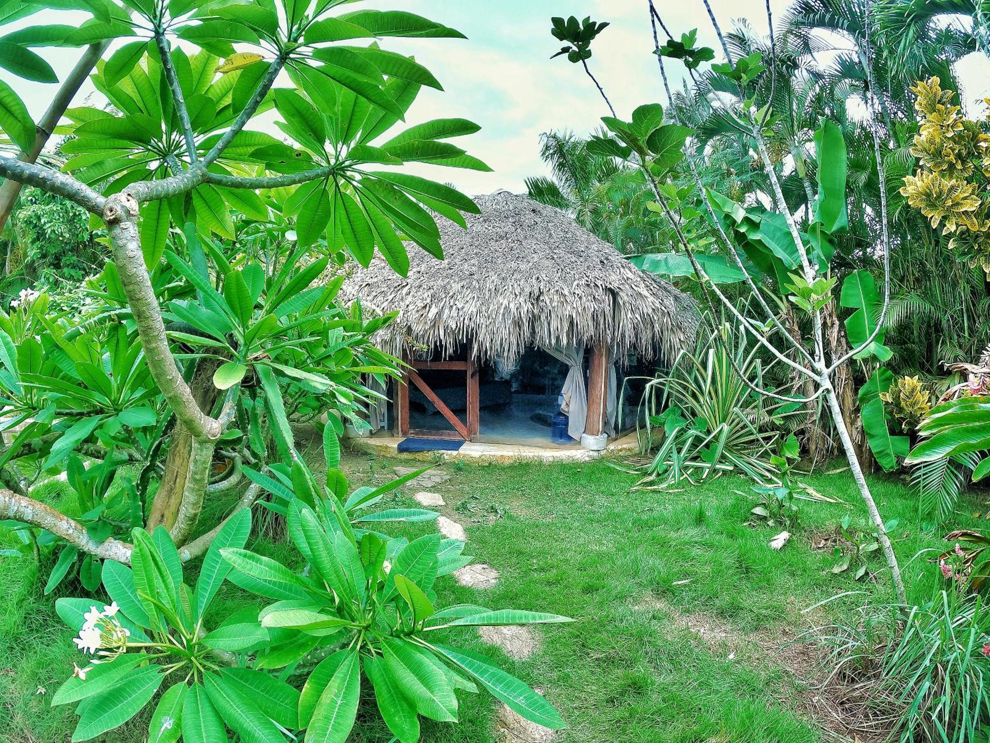 Dream Glamping Jungle Bohio Hotel Las Terrenas Luaran gambar