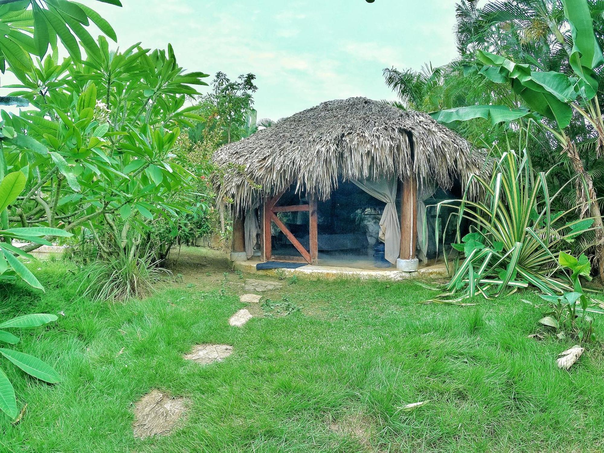 Dream Glamping Jungle Bohio Hotel Las Terrenas Luaran gambar